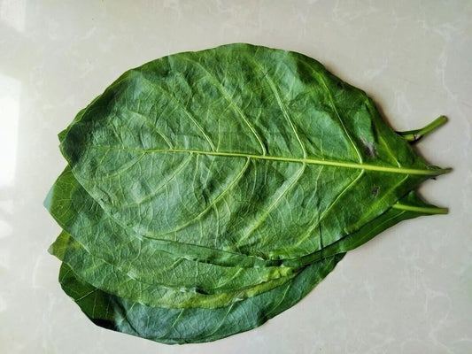 +20 Natural Dried Noni Leaves Ahu Morinda Citrifolia Organic Herbal Fruit Leaf