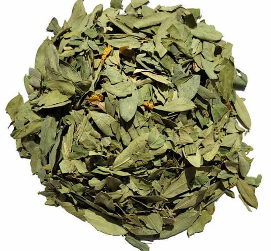 50g Dried Sidr Leaves Jujube Leaves - 100% Natural & Organic Herbal Remedy