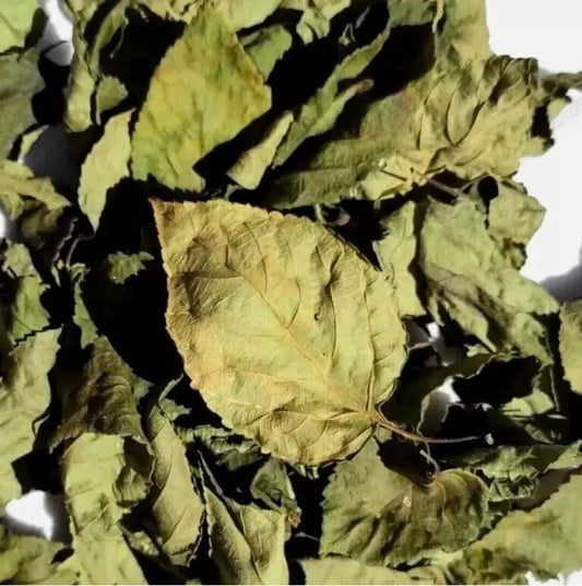 +200 Dried Lantana Camara Leaves Organic Healing Herb Herbal Tea Angel Lip