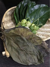 +20 Natural Dried Noni Leaves Ahu Morinda Citrifolia Organic Herbal Fruit Leaf