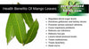 100% Natural Organic Dried Mango Leaves For Manage blood pressure & blood sugar