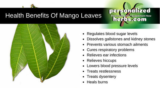 100% Natural Organic Dried Mango Leaves For Manage blood pressure & blood sugar
